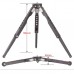 Leofoto Tabletop Tripod MT-03 + MBH-19 Ballhead